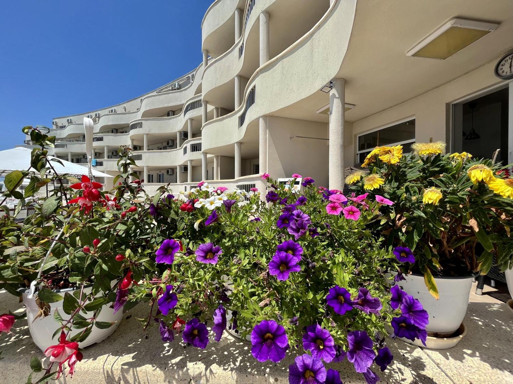 Апартаменти Сънбрийз - Sunbreeze Apartments Byala  Ngoại thất bức ảnh